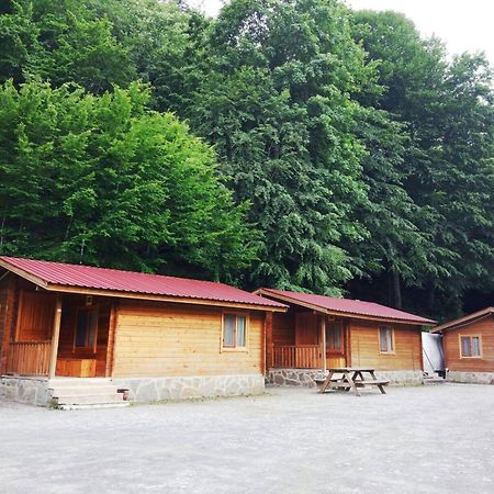 Penzion Habitat Mesire Mengen Exteriér fotografie