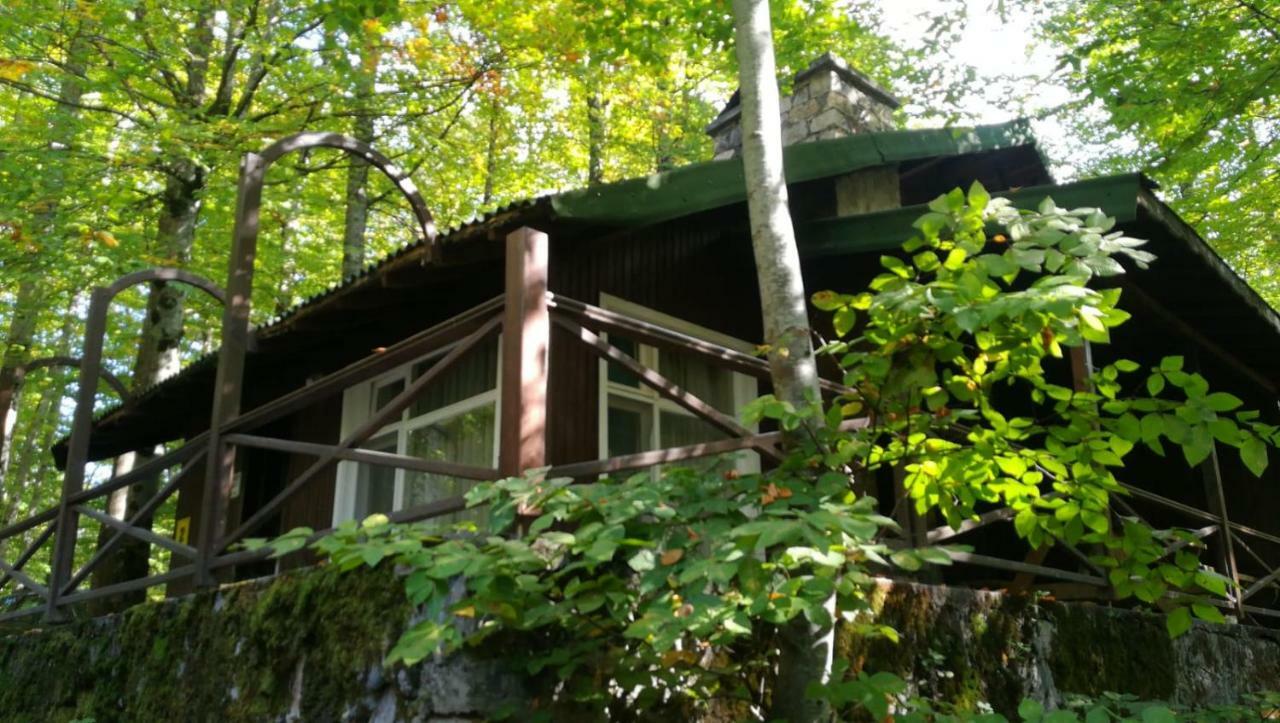 Penzion Habitat Mesire Mengen Exteriér fotografie
