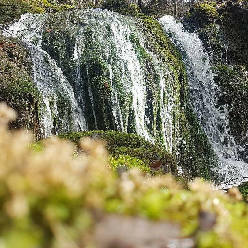 Penzion Habitat Mesire Mengen Exteriér fotografie