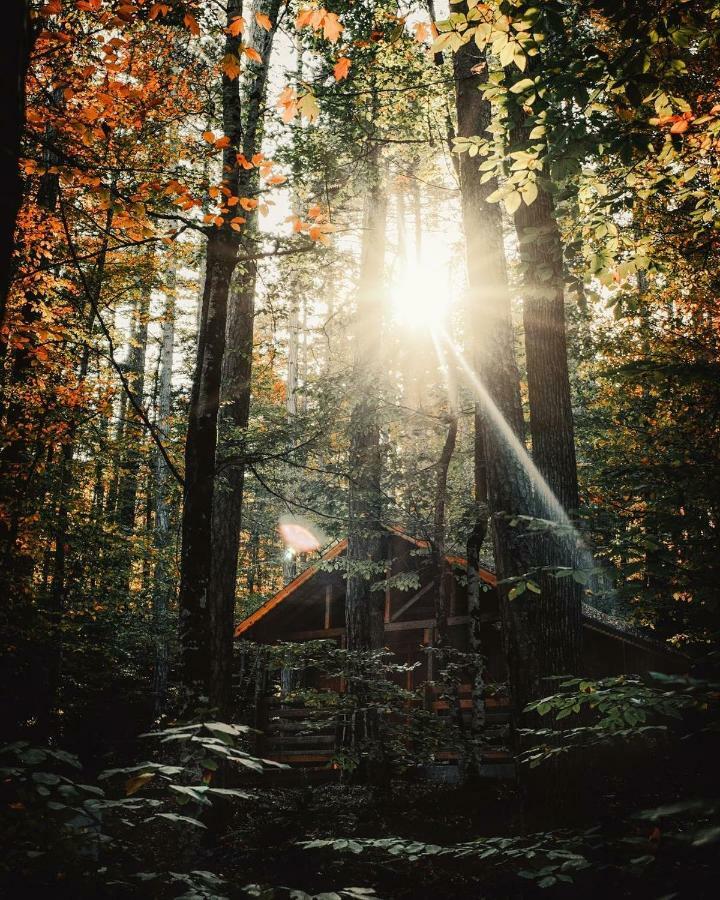 Penzion Habitat Mesire Mengen Exteriér fotografie