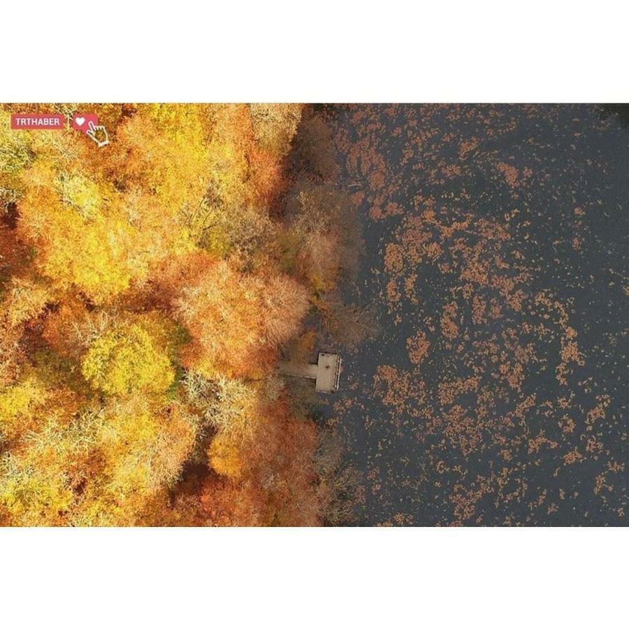 Penzion Habitat Mesire Mengen Exteriér fotografie