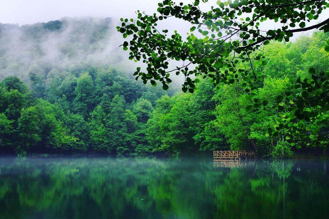 Penzion Habitat Mesire Mengen Exteriér fotografie