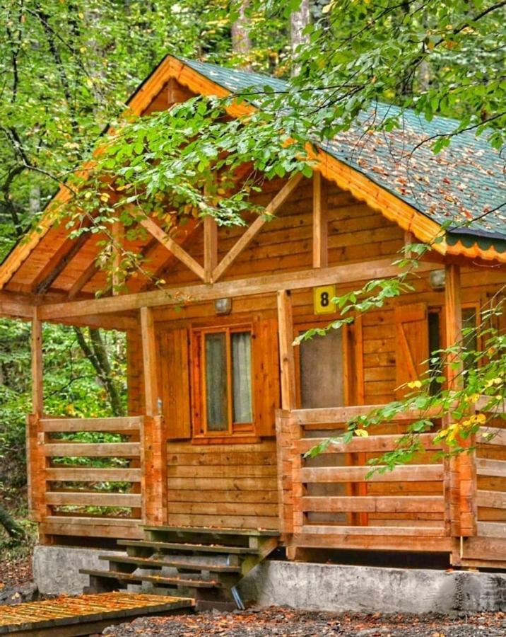 Penzion Habitat Mesire Mengen Exteriér fotografie