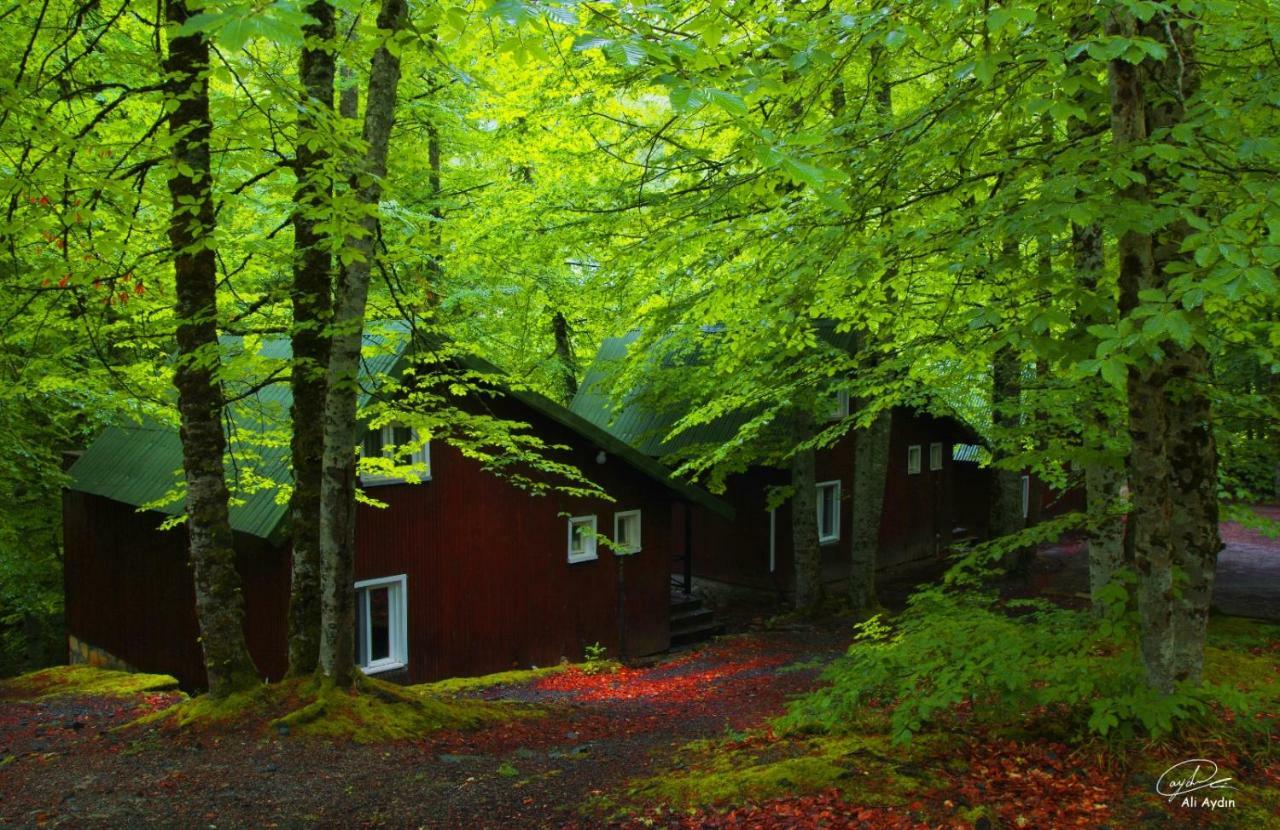 Penzion Habitat Mesire Mengen Exteriér fotografie